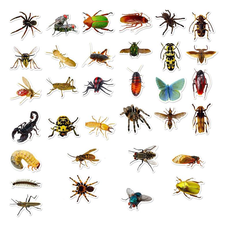 50pcs set Realistic Insect Sticker, Cute Animal Stickers for DIY Scrapbook Water Bottle Decoration