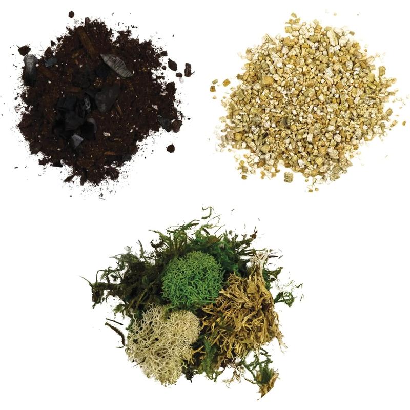 Terrarium Starter Kit | Moss, Vermiculite, Soil, Plant Food, Brush, Build and Care Guide | DIY Succulent Terrarium Kit for Adults and Kids