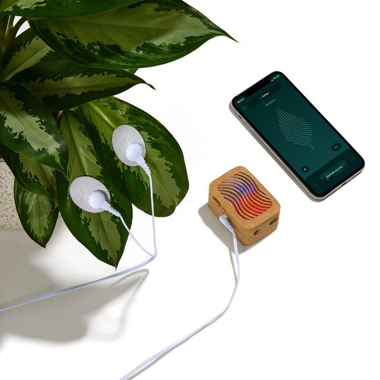 PlantWave | Plant Music Device