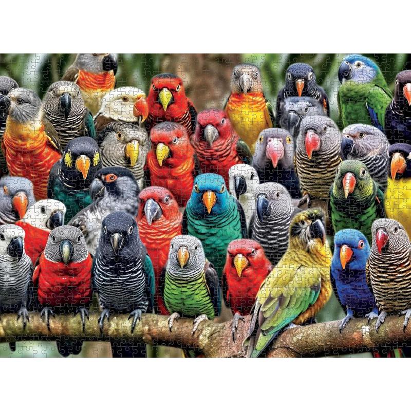 1000 Piece Jigsaw Puzzle for Adults | Unique Bird Artwork | Best Challenging Puzzles for Cognitive Workout