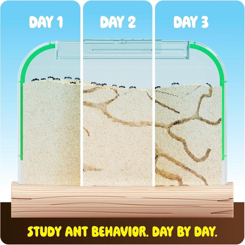 Ant Farm Kit for Kids - Ants Farms Colony - Includes Ant Voucher - Sand Habitat Kits - Bug Terrarium House - Educational Science Gifts for Kids - Nature Learning Toys for Boys, Girls & Adults