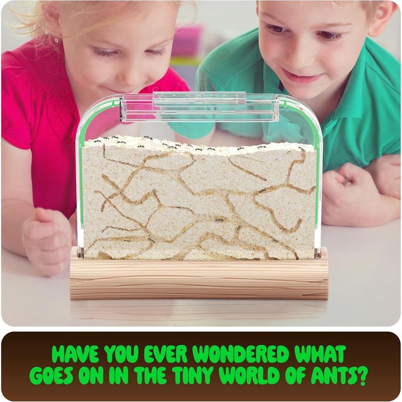 Ant Farm Kit for Kids - Ants Farms Colony - Includes Ant Voucher - Sand Habitat Kits - Bug Terrarium House - Educational Science Gifts for Kids - Nature Learning Toys for Boys, Girls & Adults