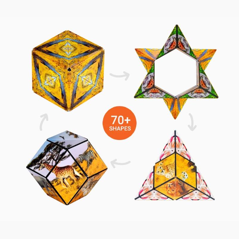 Wild Series - Shashibo Magnetic Puzzle Cubes