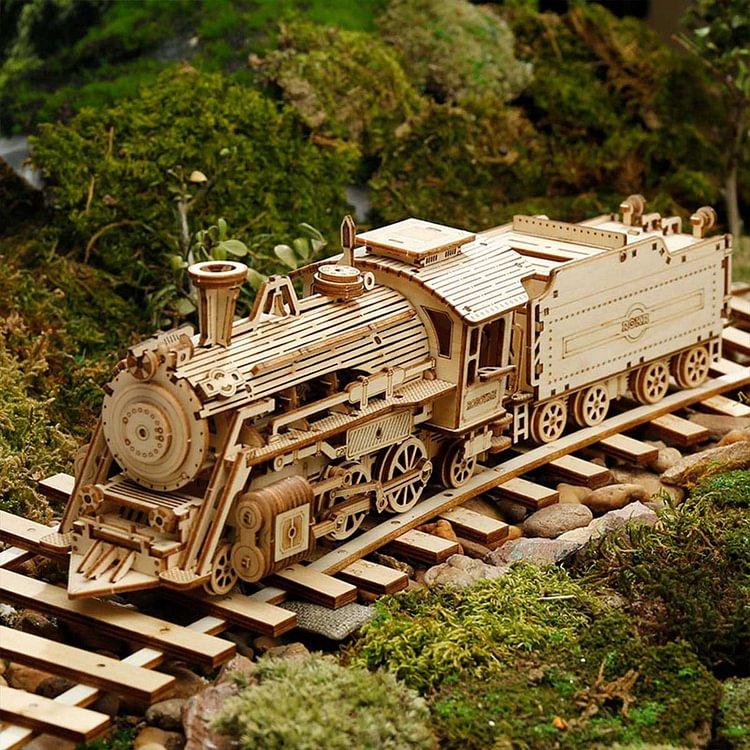 ROKR 3D Wooden Puzzle for Adults-Mechanical Train Model Kits-Brain Teaser Puzzles-Vehicle Building Kits-Unique Gift for Kids on Birthday Christmas Day(1:80 Scale)(MC501-Prime Steam Express)