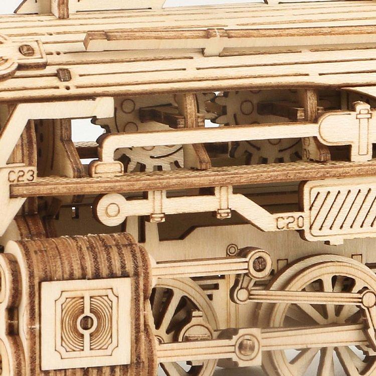 ROKR 3D Wooden Puzzle for Adults-Mechanical Train Model Kits-Brain Teaser Puzzles-Vehicle Building Kits-Unique Gift for Kids on Birthday Christmas Day(1:80 Scale)(MC501-Prime Steam Express)